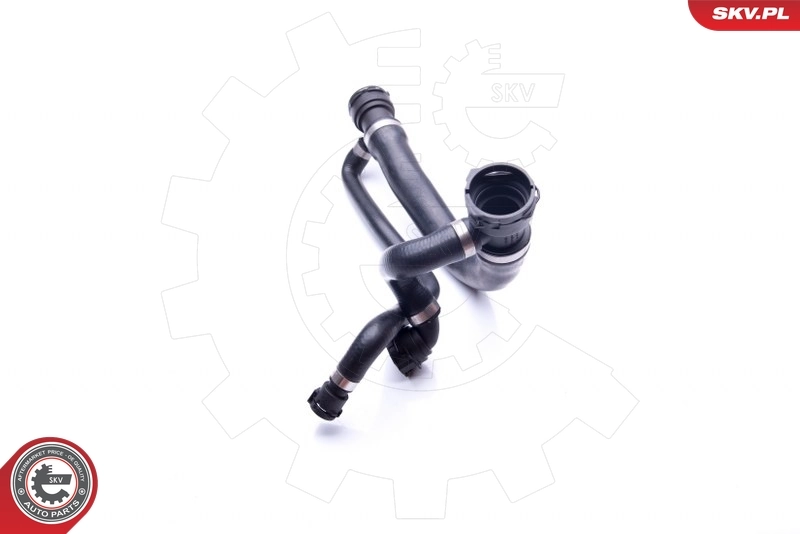 Radiator Hose 43SKV701