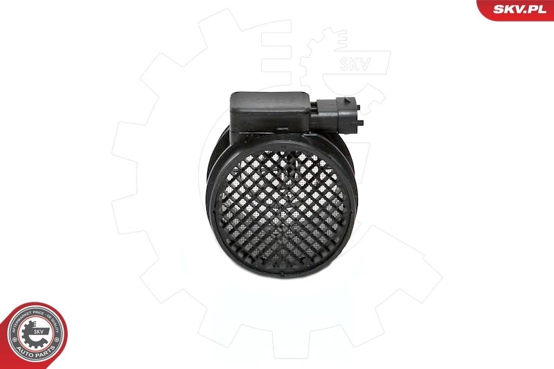 Medidor de la masa de aire 07SKV131