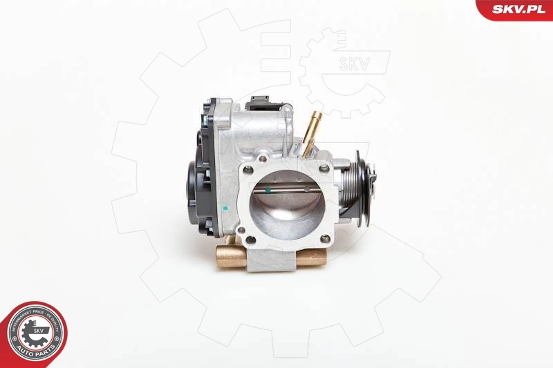 Throttle Body 12SKV004