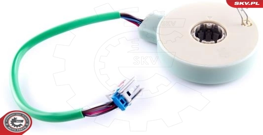 Steering Angle Sensor 17SKV479