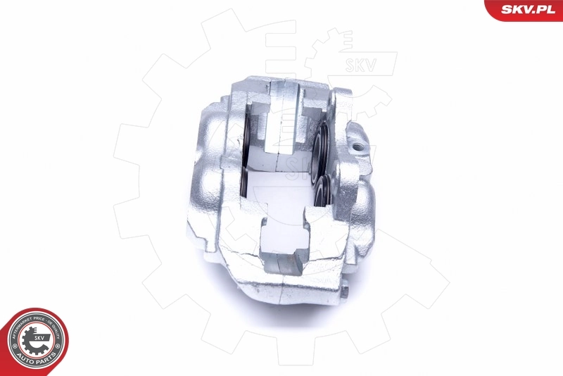 Brake Caliper 45SKV231