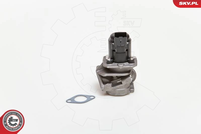 EGR Valve 14SKV028