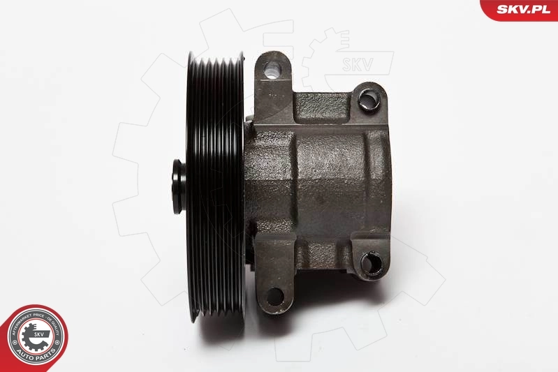 Hydraulic Pump, steering 10SKV067