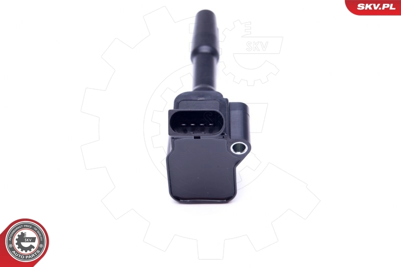 Ignition Coil 03SKV290
