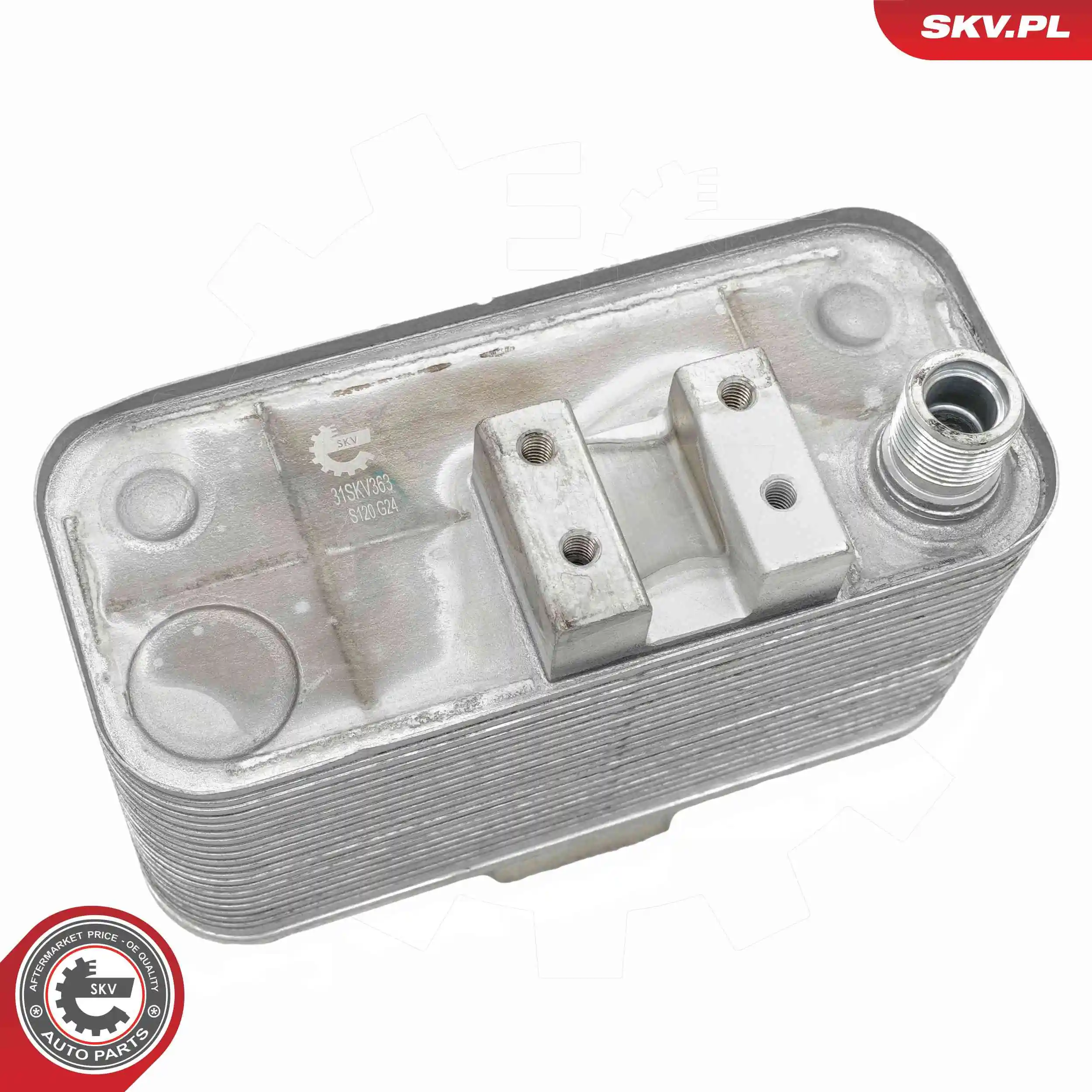 Oil Cooler, engine oil 31SKV363