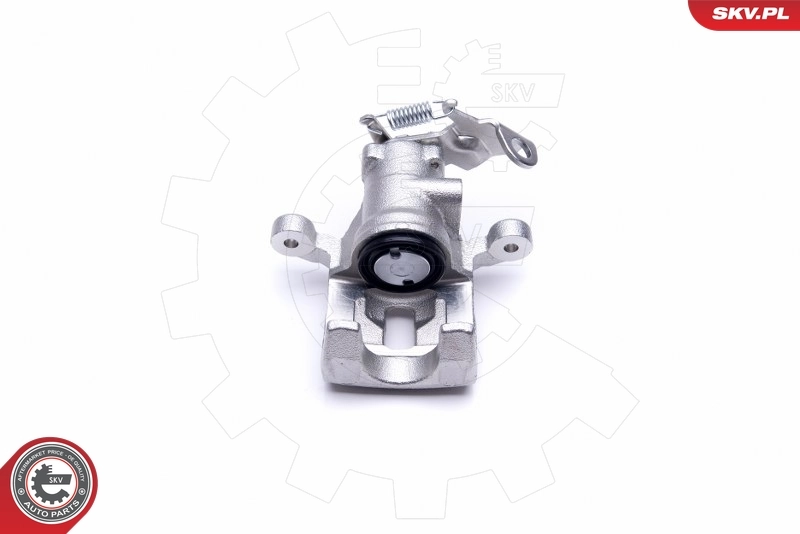 Brake Caliper 46SKV843
