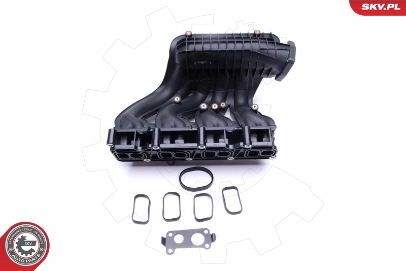 Intake Manifold Module 49SKV011