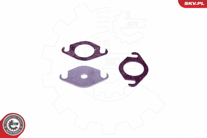 ESEN SKV 14SKV517 Repair Set, EGR valve