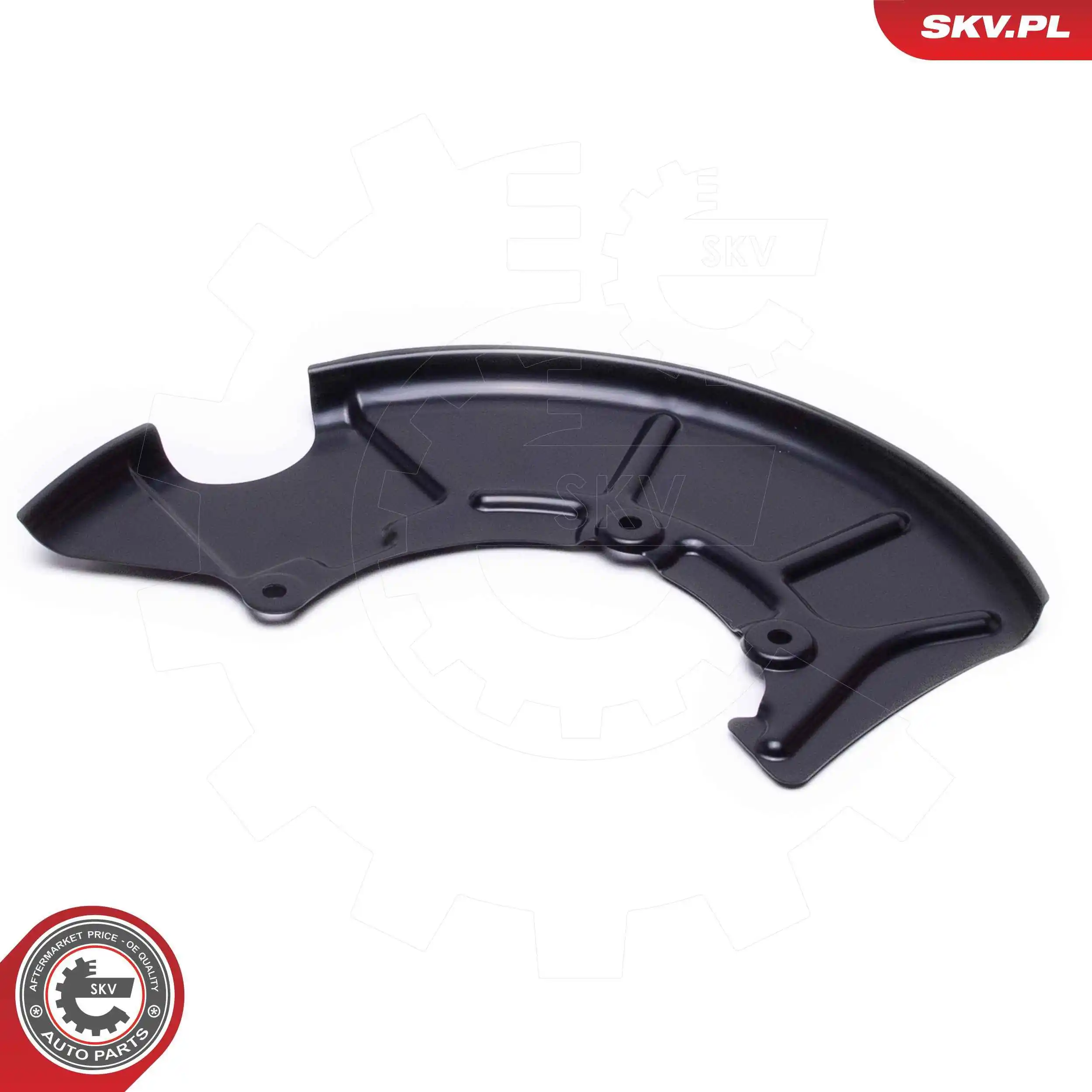 ESEN SKV 57SKV228 Splash Guard, brake disc
