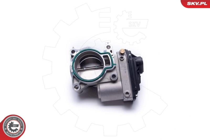Throttle Body 12SKV104