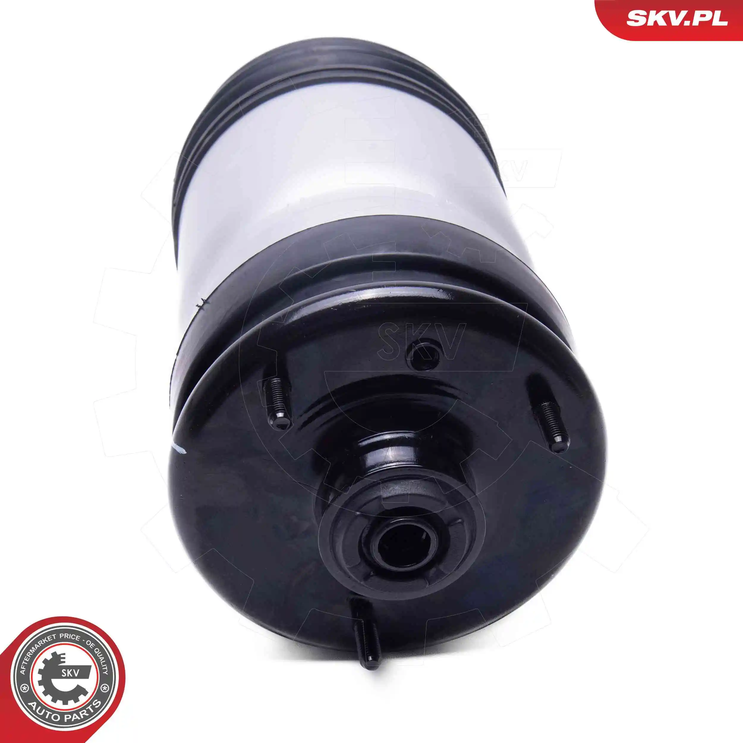 Air Spring, suspension 58SKV088