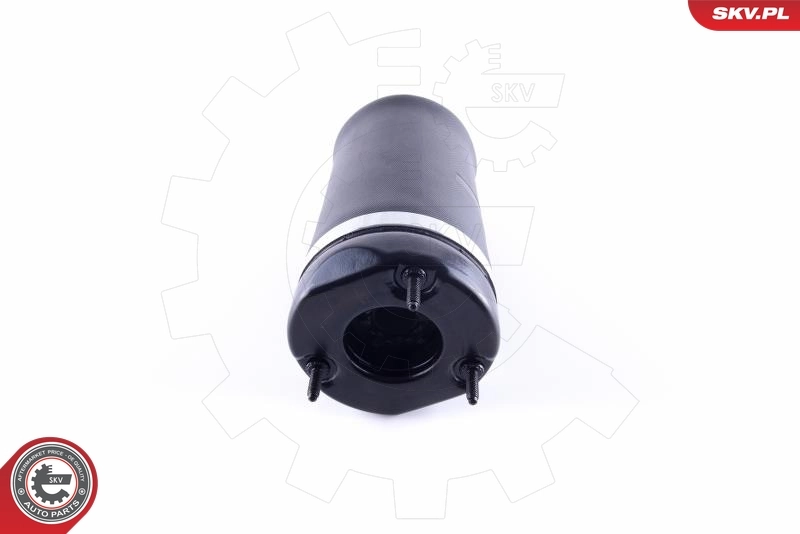 Air Spring, suspension 58SKV042