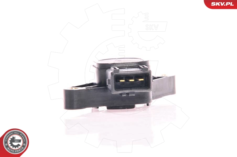 Sensor, throttle position 17SKV008