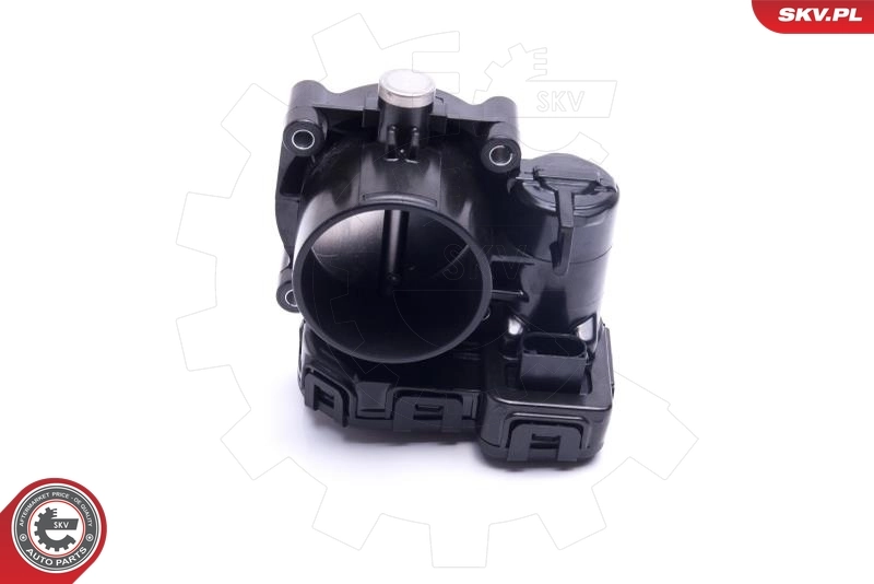 ESEN SKV 12SKV120 Throttle Body