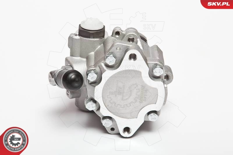 Hydraulic Pump, steering 10SKV018