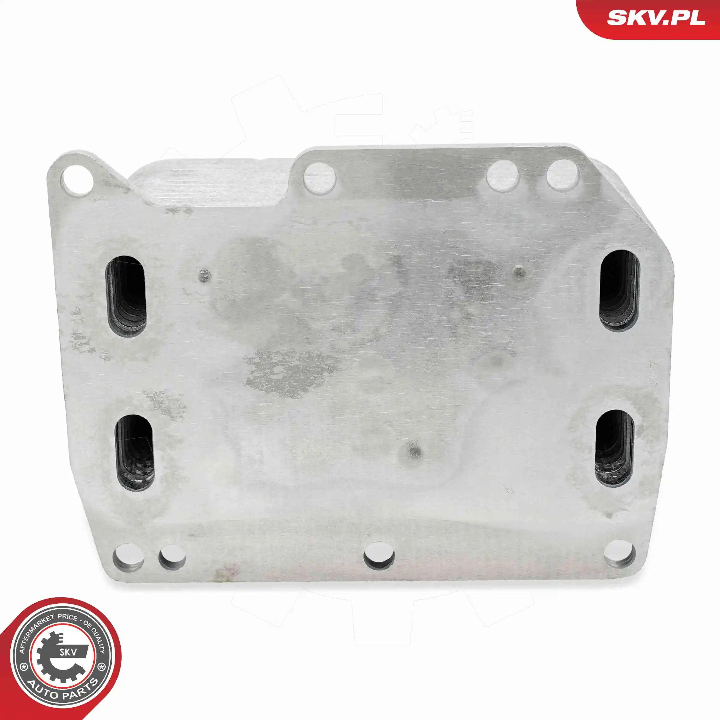 Oil Cooler, engine oil 31SKV344