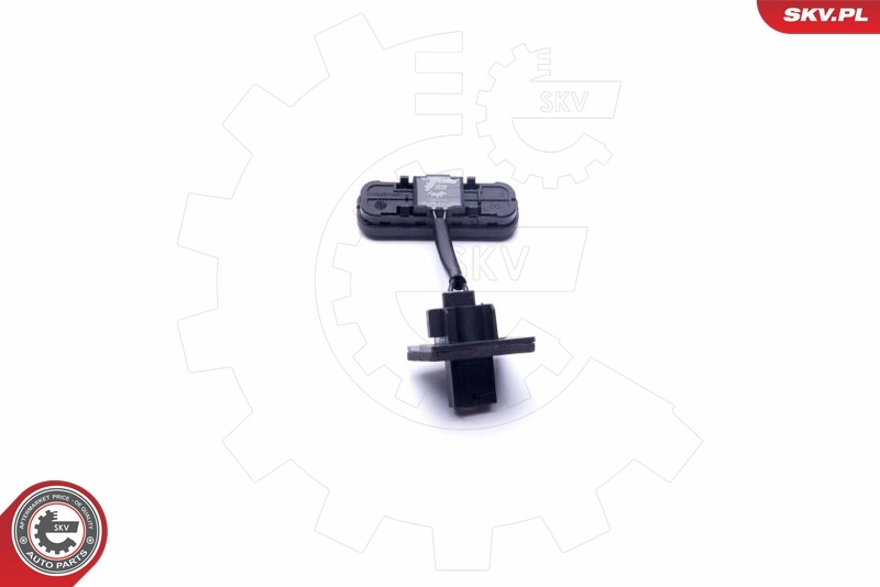 Switch, tailgate release 16SKV264