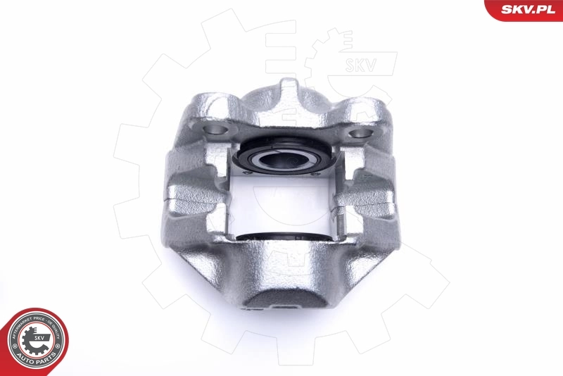 Brake Caliper 55SKV402