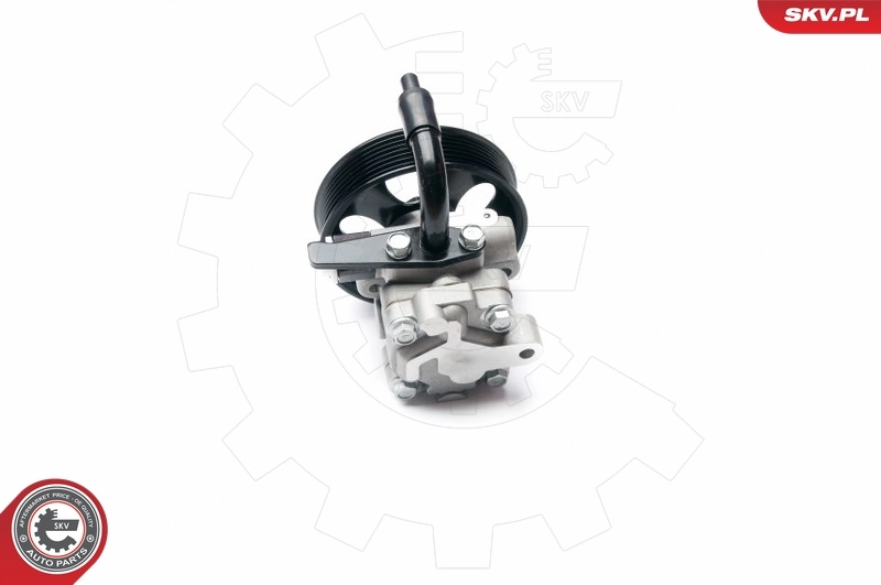 Hydraulic Pump, steering 10SKV201