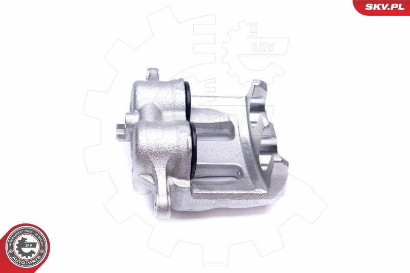 Brake Caliper 45SKV671