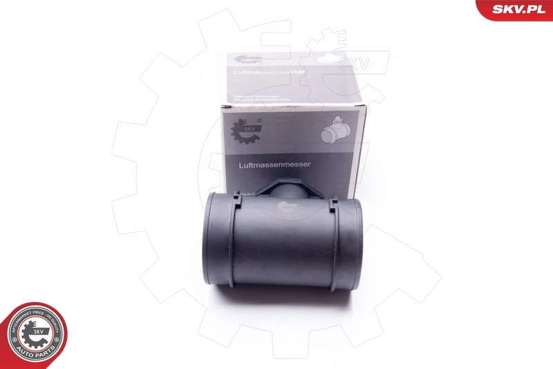 Mass Air Flow Sensor 07SKV028