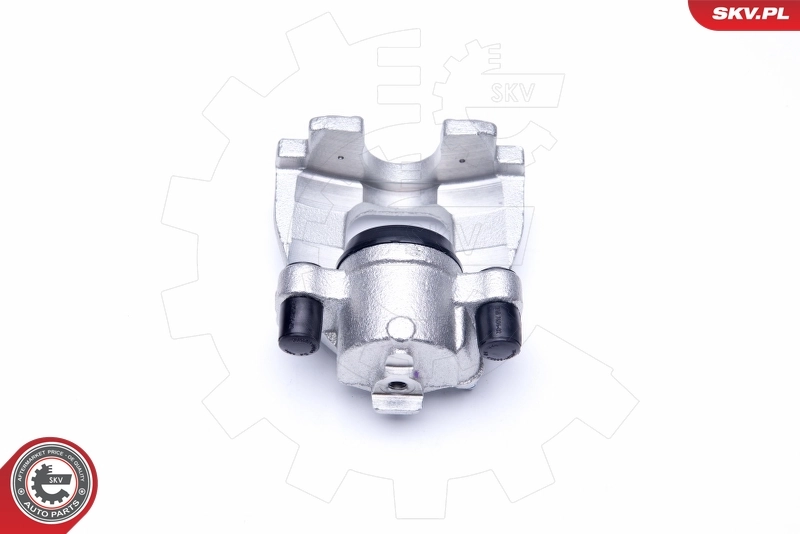 Brake Caliper 42SKV261