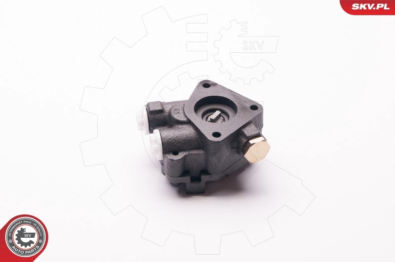 ESEN SKV 1SKV0009 Hydraulic Pump, steering