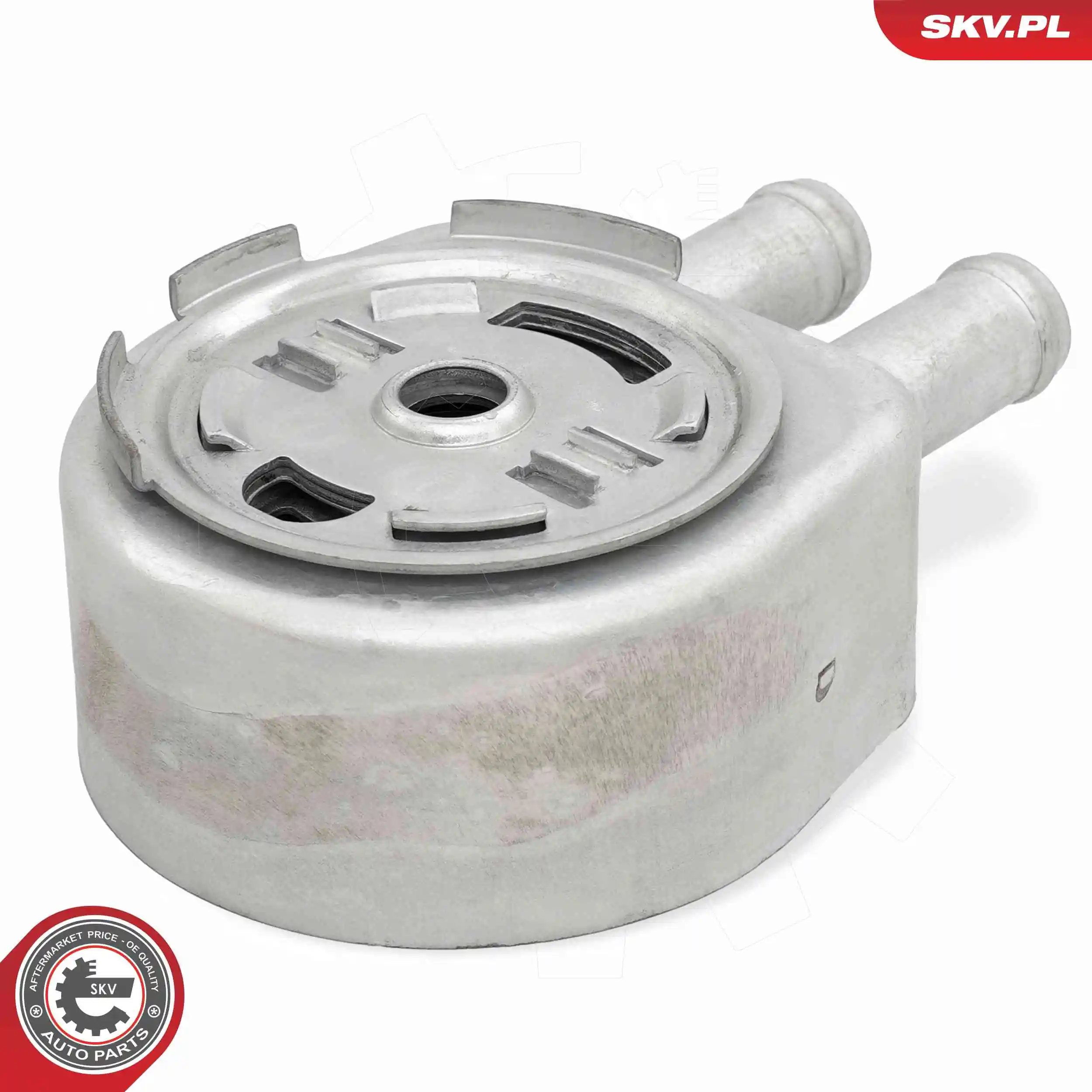 Oil Cooler, engine oil 31SKV370