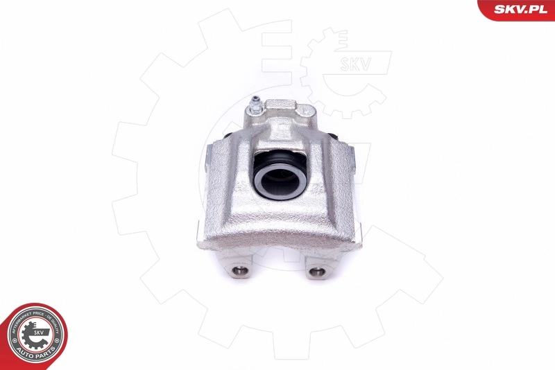 Brake Caliper 46SKV603