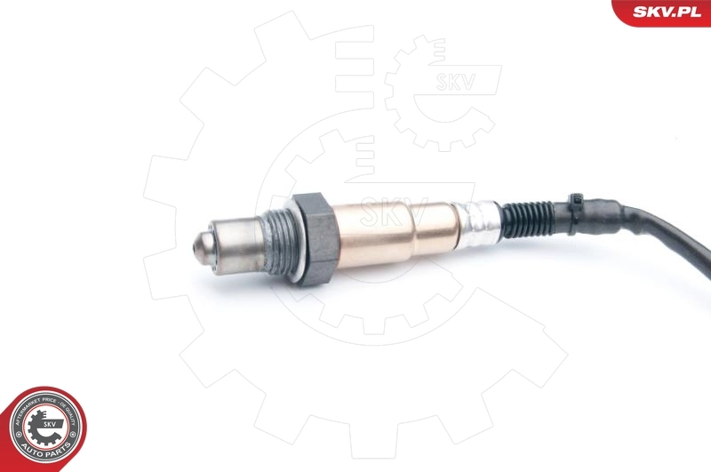 Oxygen Sensor 09SKV749