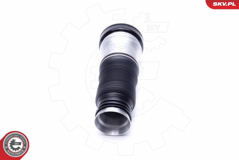 Air Suspension Strut 58SKV065