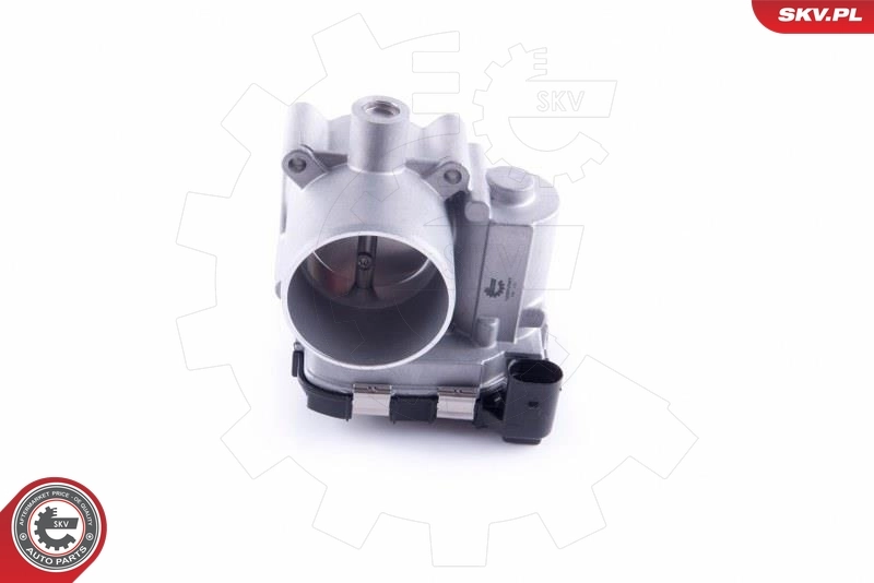 Throttle Body 12SKV087