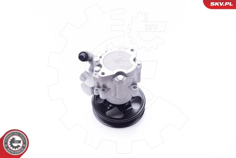 Hydraulic Pump, steering 10SKV077