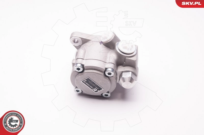 Hydraulic Pump, steering 1SKV0006