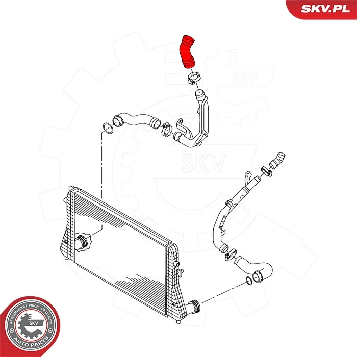 Charge Air Hose 43SKV461