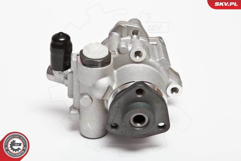 Hydraulic Pump, steering 10SKV043