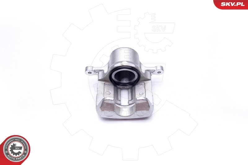 Brake Caliper 42SKV432
