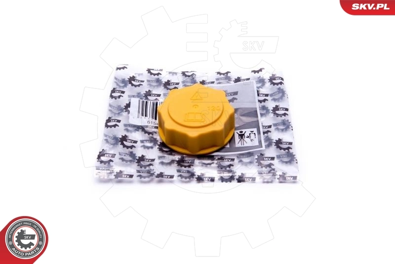 Cap, coolant tank 61SKV007