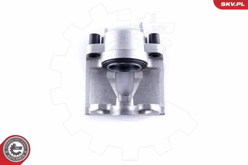Brake Caliper 50SKV992