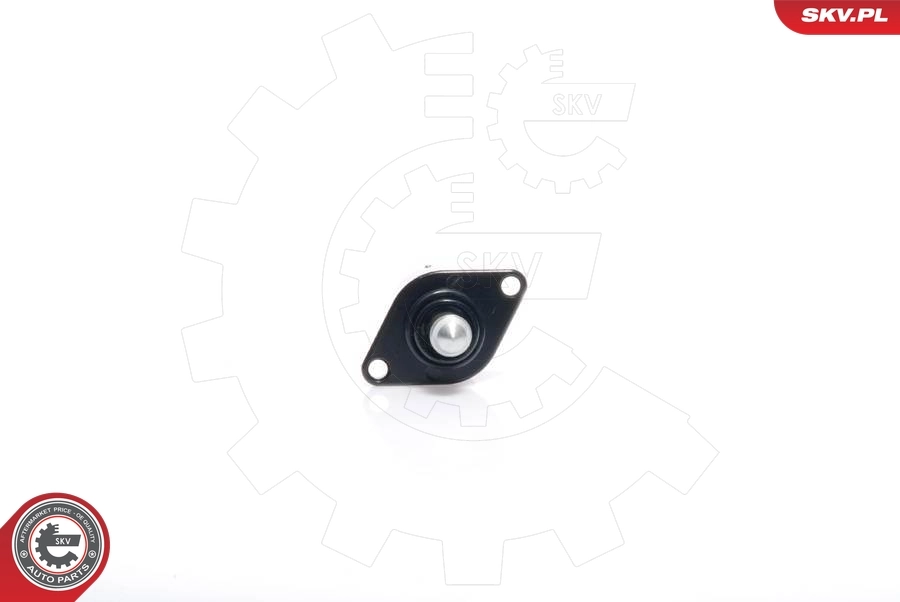 ESEN SKV 08SKV037 Idle Control Valve, air supply