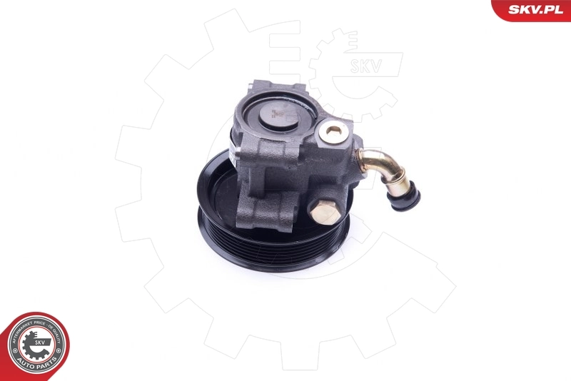 Hydraulic Pump, steering 10SKV101