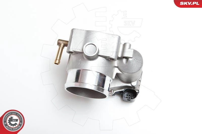 Throttle Body 12SKV008