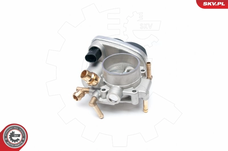 Throttle Body 12SKV049