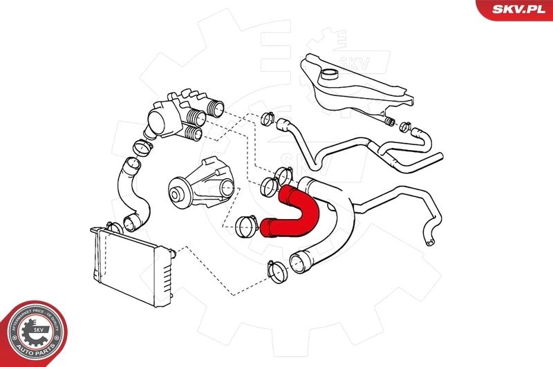 Radiator Hose 24SKV264