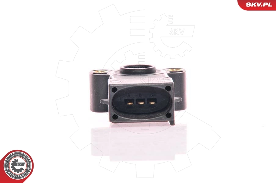 Sensor, throttle position 17SKV001