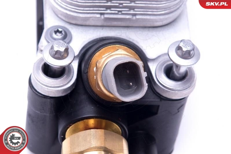 Oil Cooler, engine oil 31SKV172