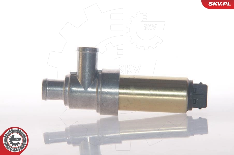 ESEN SKV 08SKV212 Idle Control Valve, air supply