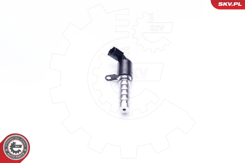Control Valve, camshaft adjustment 39SKV020