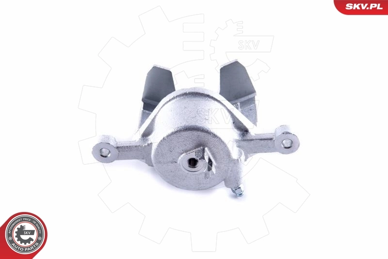 Brake Caliper 55SKV101