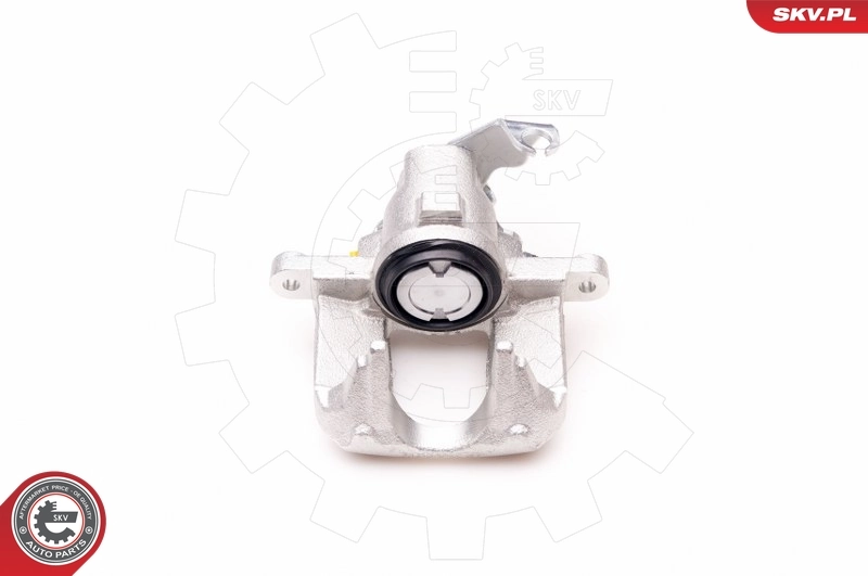 Brake Caliper 34SKV003